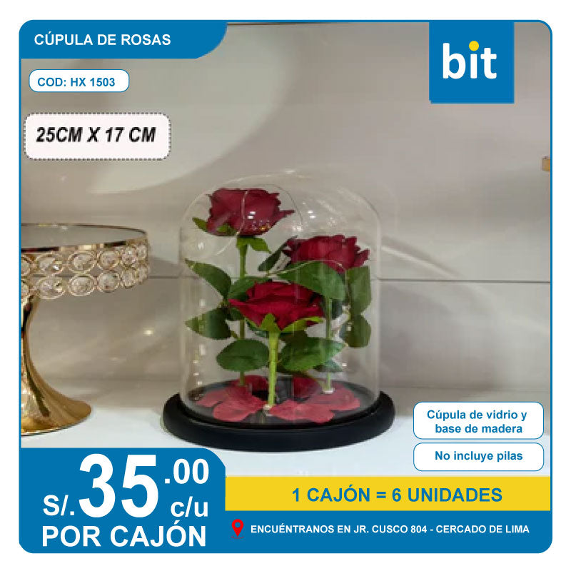 C02-CÚPULA DE ROSAS   HX 1503